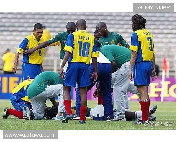 去世足球明星们的遗产与影响：回顾他们的辉煌与离世的哀悼